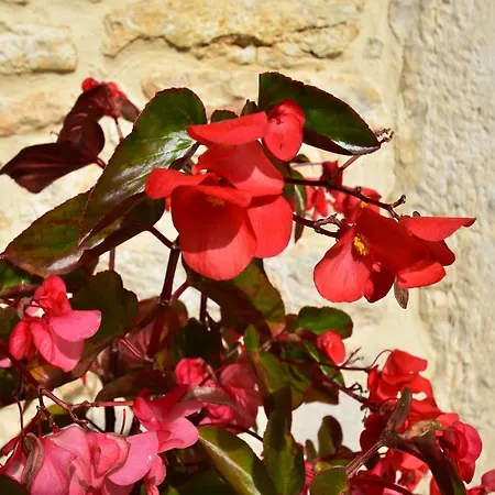 Spacious With Private Pool Casa vacanze *