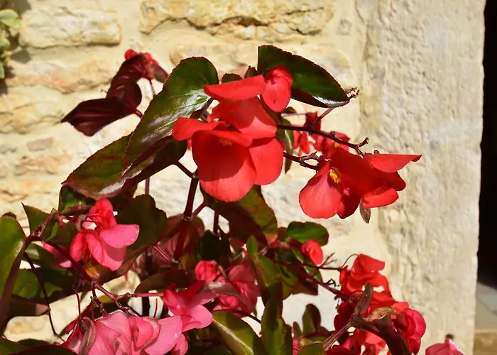 Spacious With Private Pool Hébergement de vacances *