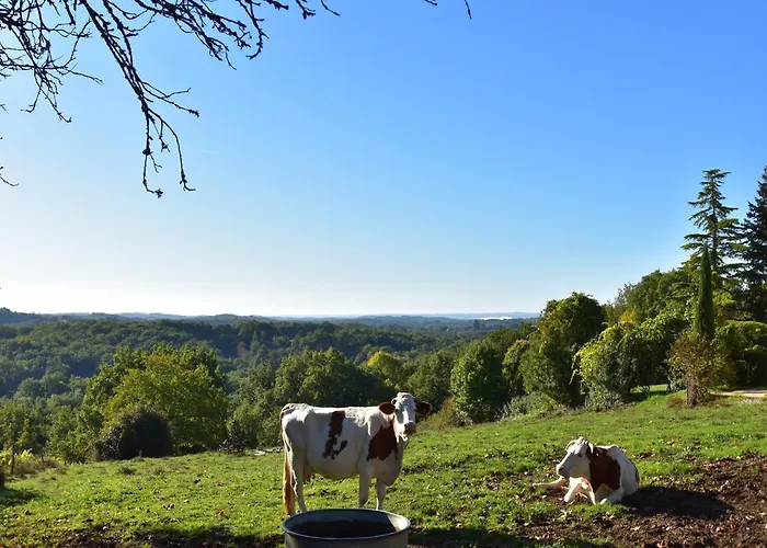 Spacious With Private Pool Peyrilles